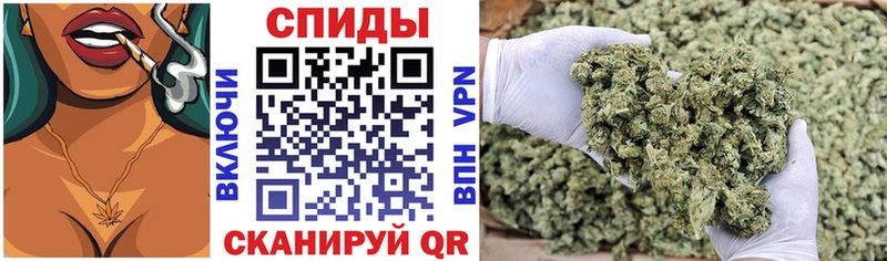 Купить где  Нарткала  Бутират буратино 