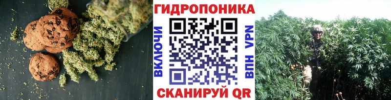 Cannafood конопля  Купить где  Нарткала 