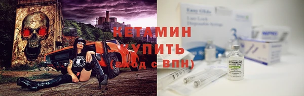гашик Ельня