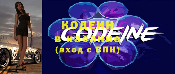 гашик Ельня