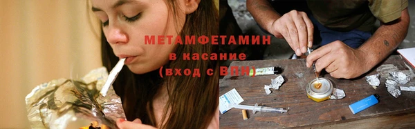 прущие грибы Дмитров