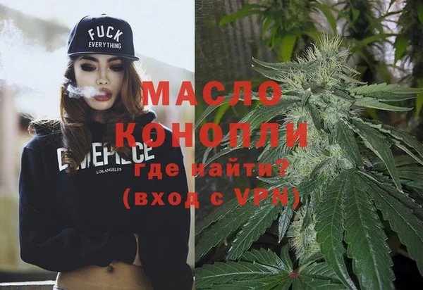 гашик Ельня