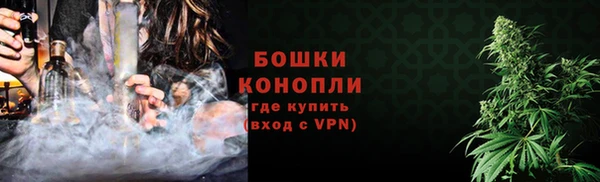 гашик Ельня