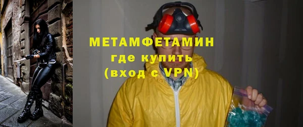 прущие грибы Дмитров