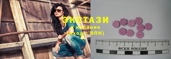 гашик Ельня