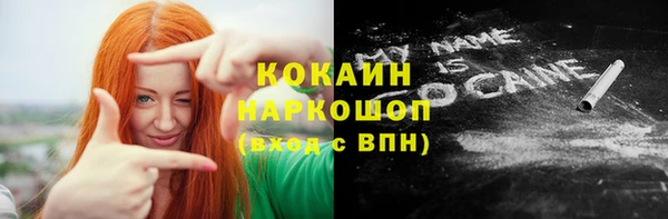 прущие грибы Дмитров