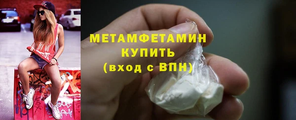 гашик Ельня