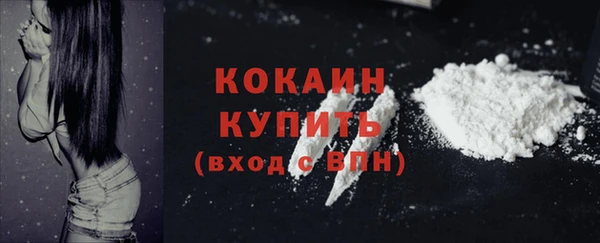 гашик Ельня
