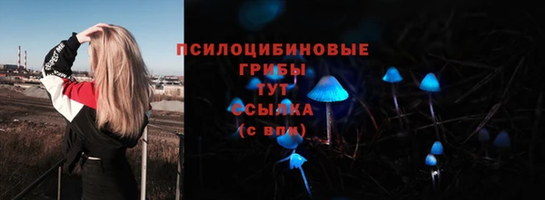 скорость Елизово