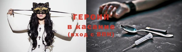 твердый Дмитровск