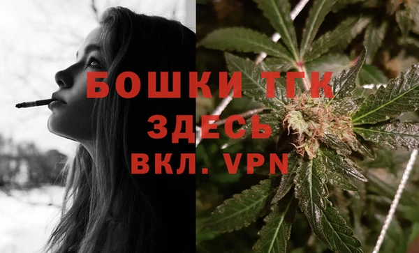 гашик Ельня