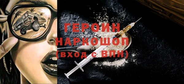 гашик Ельня