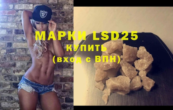 гашик Ельня
