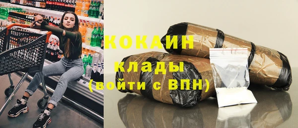 гашик Ельня
