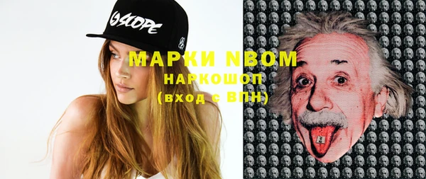 прущие грибы Дмитров