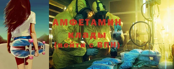 гашик Ельня