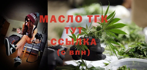 гашик Ельня