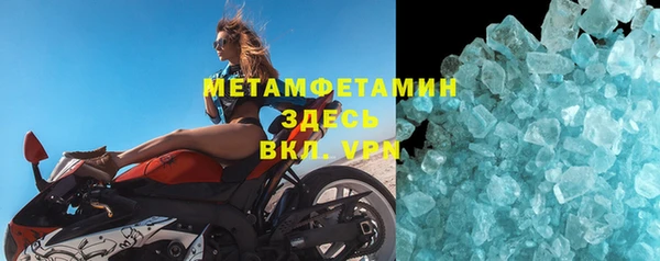 ПСИЛОЦИБИНОВЫЕ ГРИБЫ Дмитриев