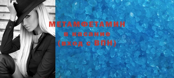 ПСИЛОЦИБИНОВЫЕ ГРИБЫ Дмитриев