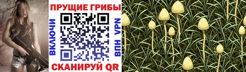 Галлюциногенные грибы Magic Shrooms  Купить  Нарткала 